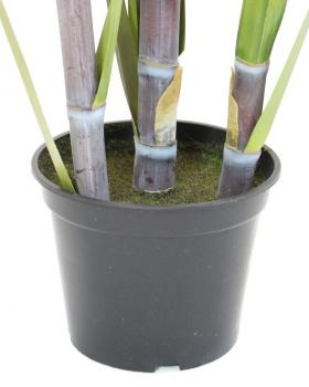 Deko Topfpflanze Bambus